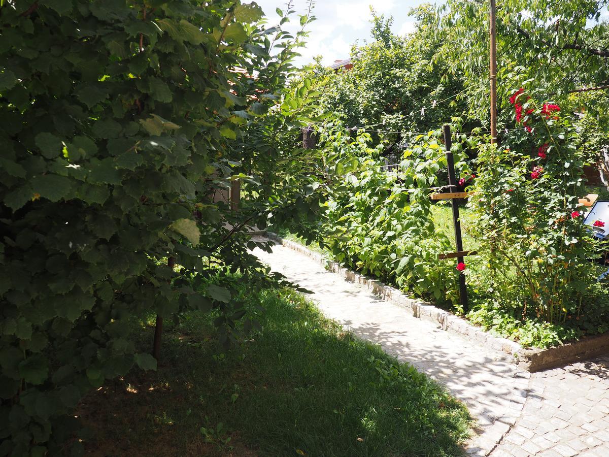 Guest House Stefanovic Vranje Zewnętrze zdjęcie
