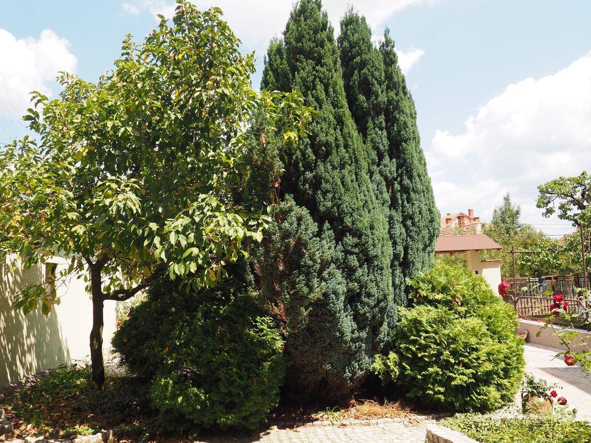 Guest House Stefanovic Vranje Zewnętrze zdjęcie