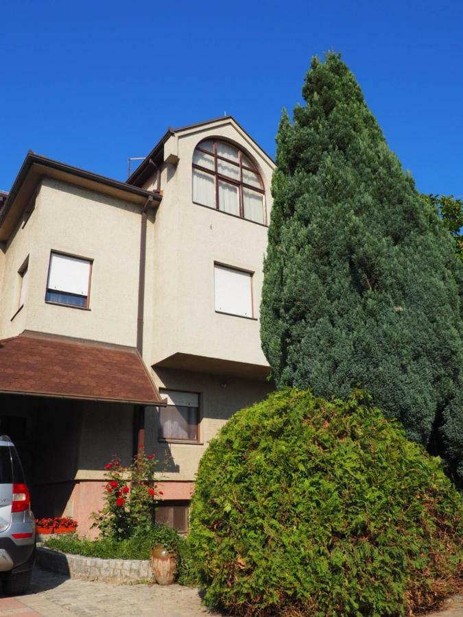 Guest House Stefanovic Vranje Zewnętrze zdjęcie